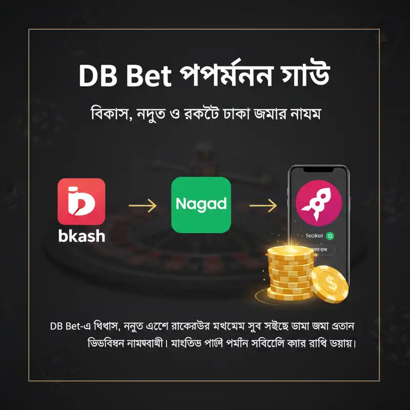DB Bet পেমেন্ট